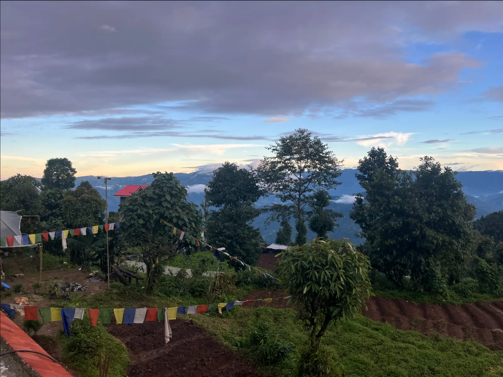 Dawn over Gumpadara, prayer flags strung across terraced beds with the valley and cloud below