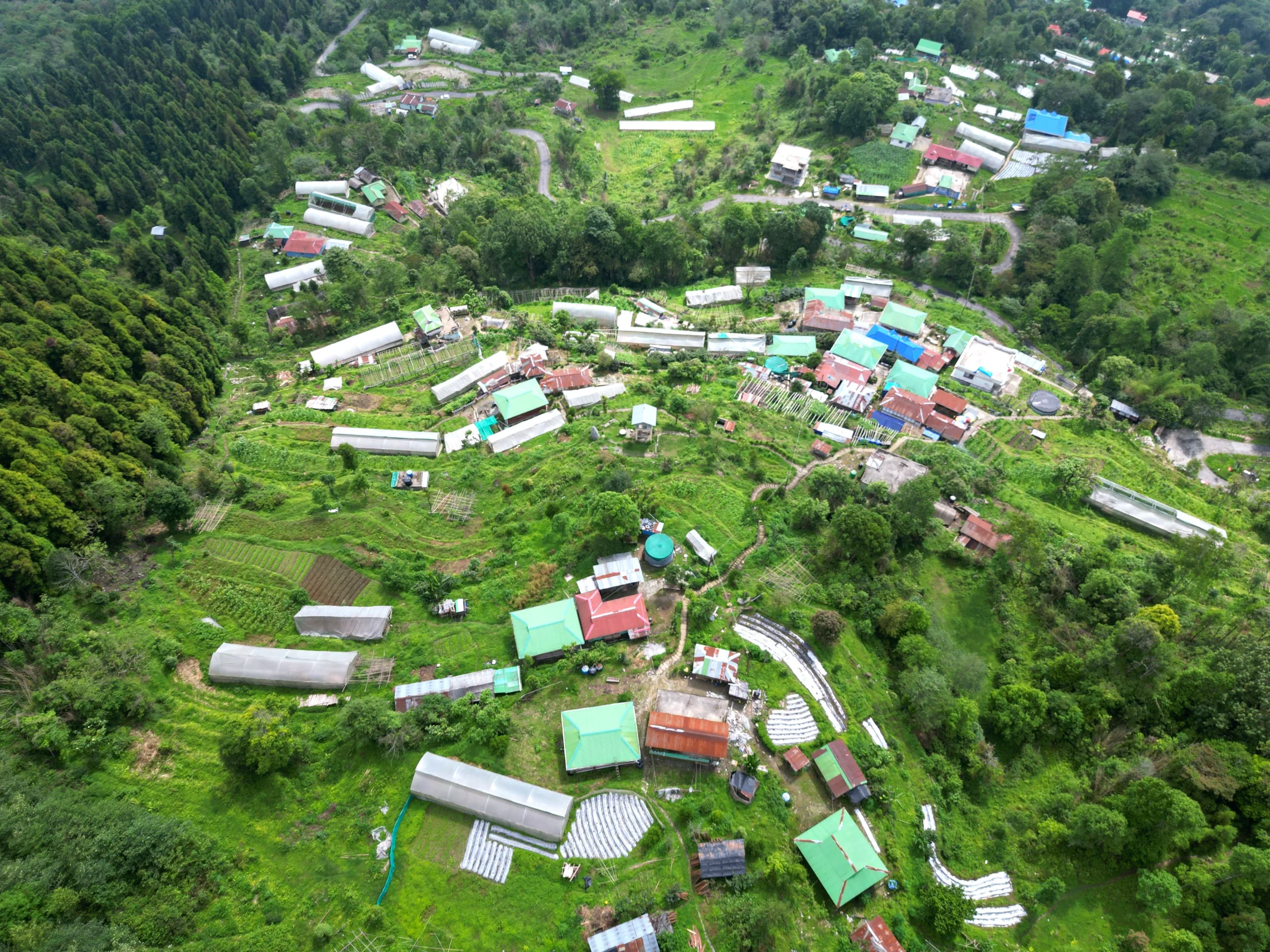 The ridge at Yakten seen from the air, houses scattered through terraced fields and pine forest
